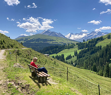 Blick auf die Reichenspitzgruppe