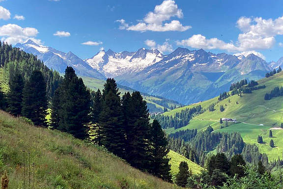 Im Frühjahr, Sommer, Herbst