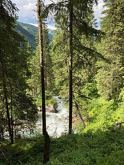 Wildgerlostal
